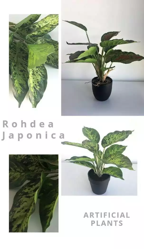 Artificial Bonsai & Artificial Plants
